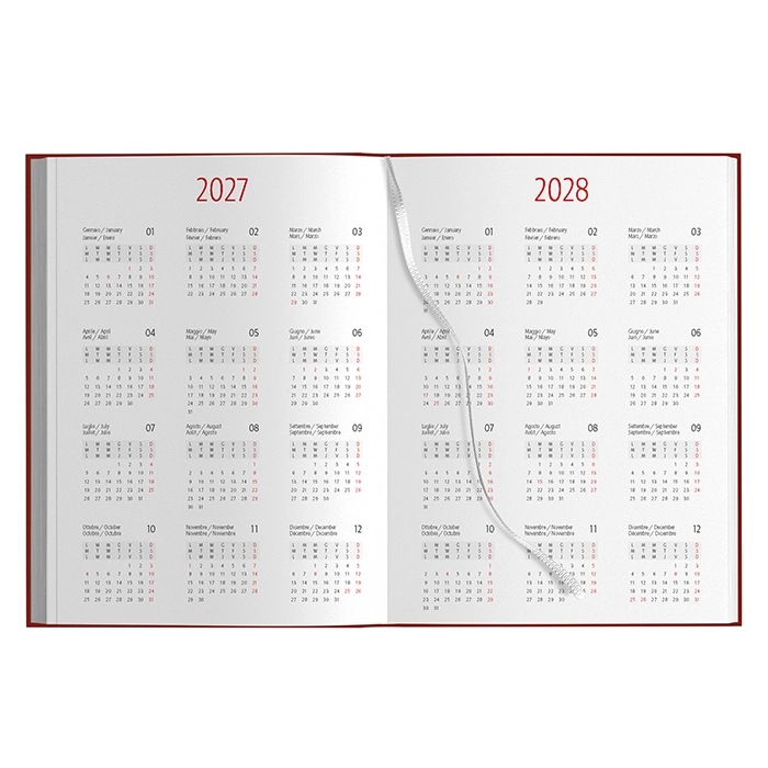 Immagine AGENDA GIORNALIERA