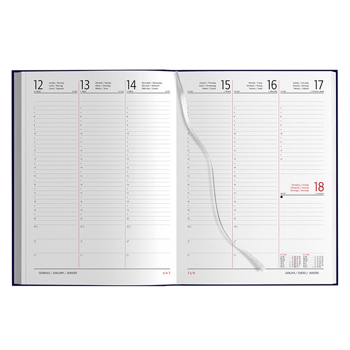 Immagine AGENDA SETTIMANALE MAXI