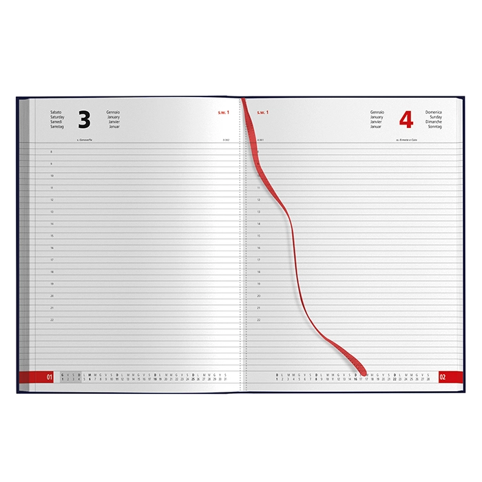 Immagine AGENDA GIORNALIERA MAXI