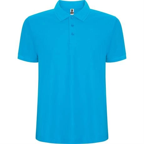 Immagine R6609 Roly PEGASO