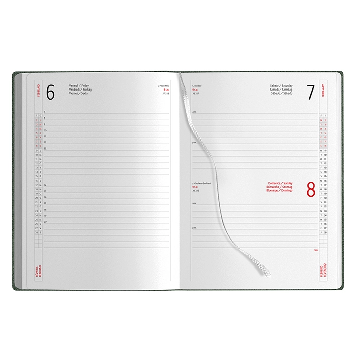 Immagine AGENDA GIORNALIERA