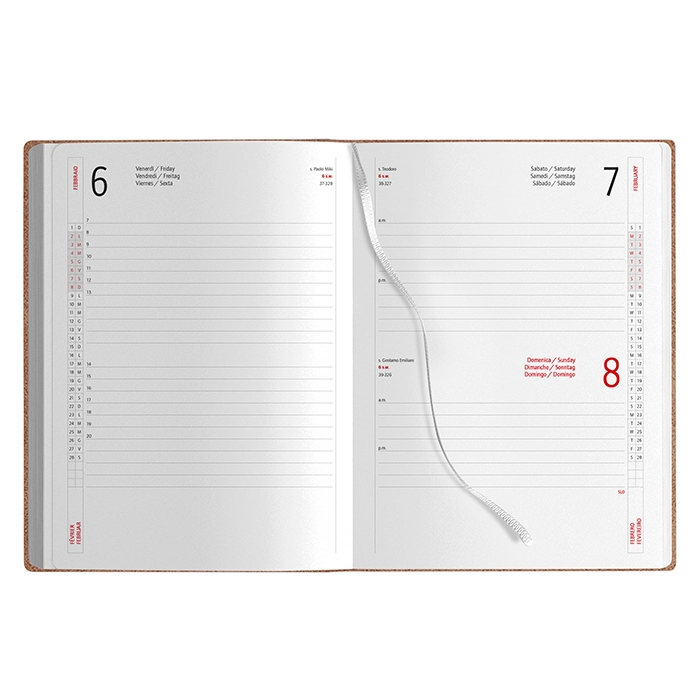 Immagine AGENDA GIORNALIERA