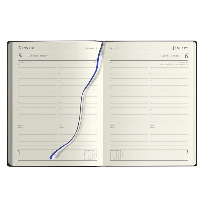 Immagine MANAGER GIORNALIERA