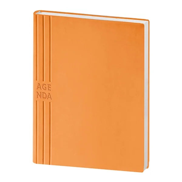 Immagine AGENDA SETTIMANALE