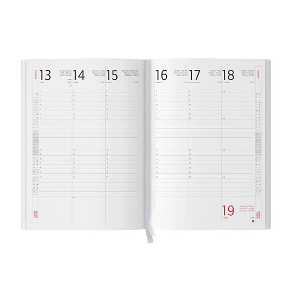 Immagine AGENDA SETTIMANALE