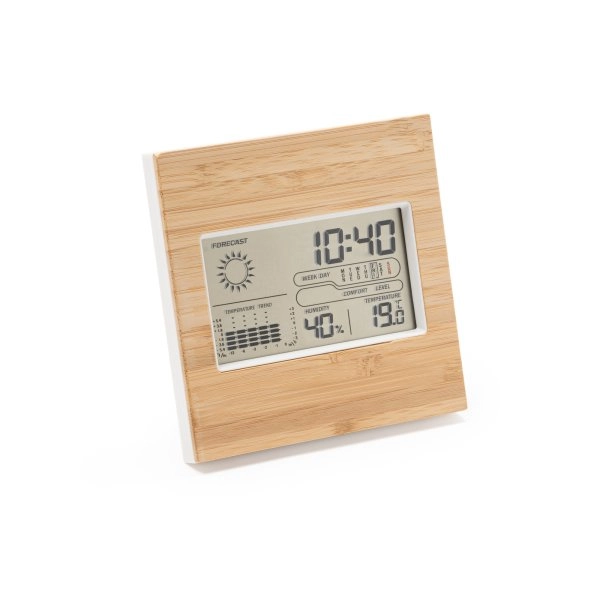 9166 Wake - Stazione Metereologica