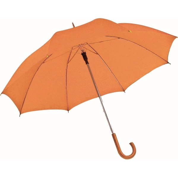 Immagine 0901 Pippo - Ombrello Automatico