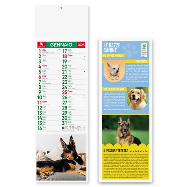 Calendario silhouette mensile 12 fogli