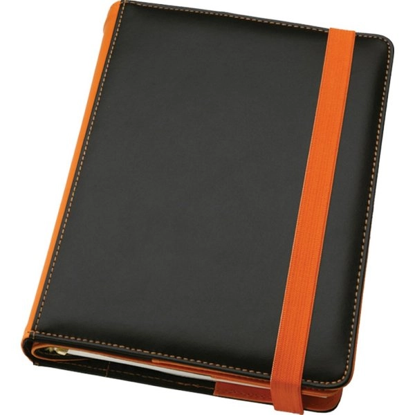 0367 - AGENDA GIORNALIERA PU