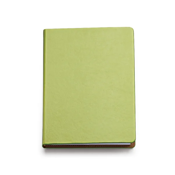 Immagine 0327 AGENDA GIORNALIERA 15X21 
