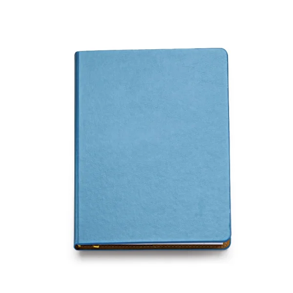 Immagine 0327 AGENDA GIORNALIERA 15X21 