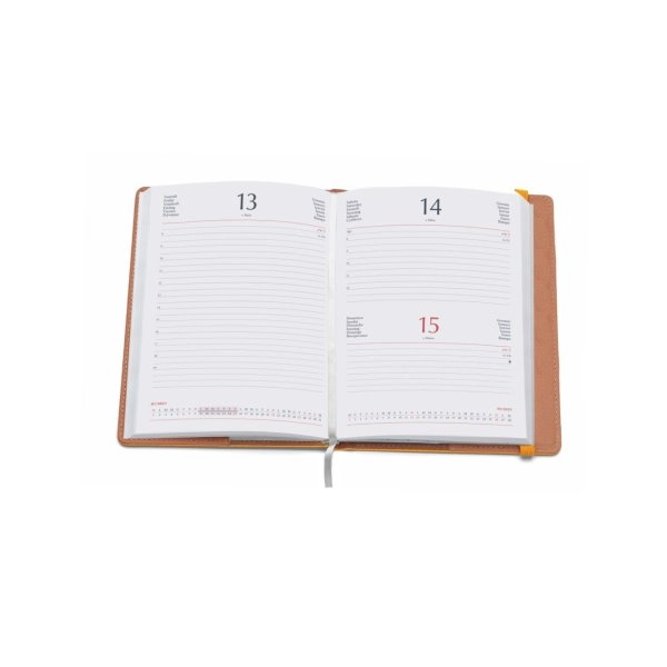 Immagine 0321 Agenda Giornaliera 15x21
