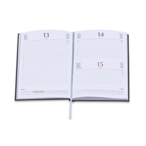 Immagine 0183 - AGENDA GIORNALIERA MATRA CM 11X17