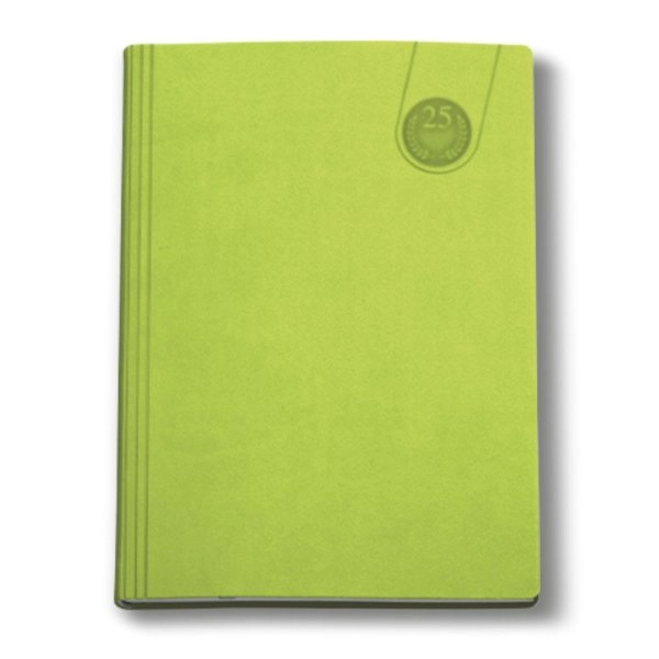 0159 Agenda Giornaliera 17x24 Tavecchi 396 pag.