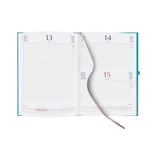 Immagine 0141 AGENDA GIORNALIERA 15X21