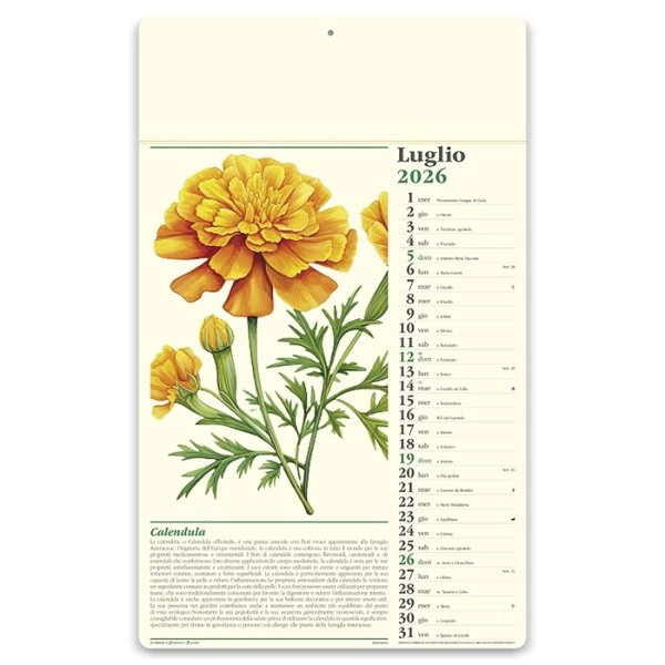 Immagine Calendario erboristeria 31 x 52,5 cm formato olandese personalizzato