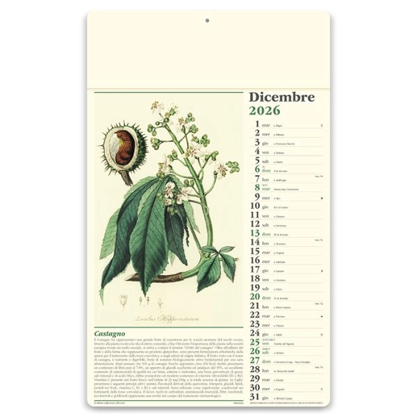 Immagine Calendario erboristeria 31 x 52,5 cm formato olandese personalizzato