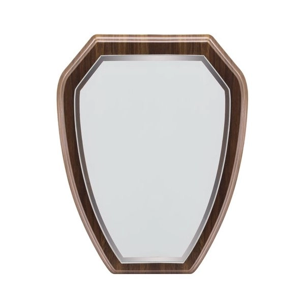 Immagine TROFEO MODERNO PER SUBLIMAZIONE 