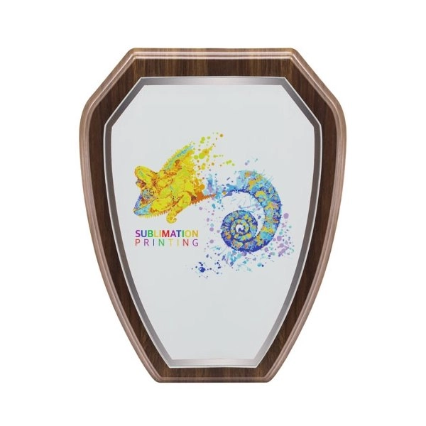 Immagine TROFEO MODERNO PER SUBLIMAZIONE 