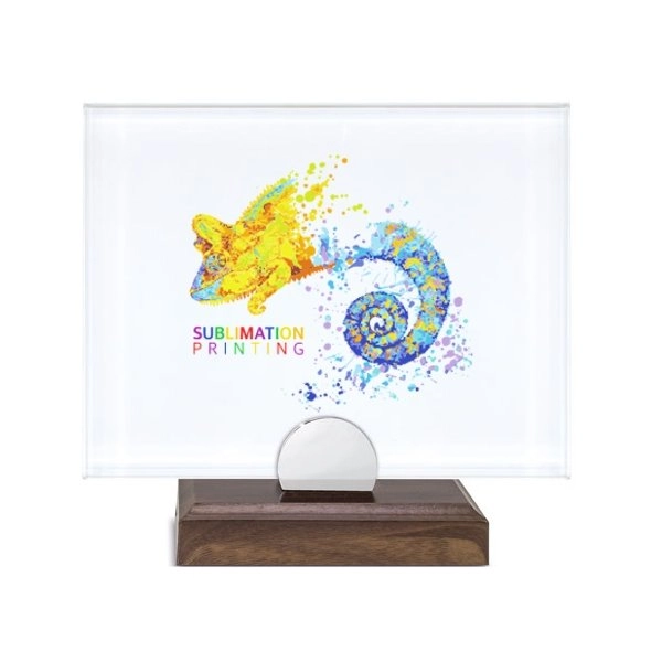 Immagine TROFEO DA TAVOLO FOTO 22 X 17CM 