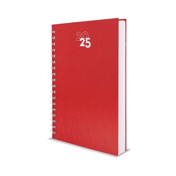 Immagine AGENDA ANELLI METALLIZZATI NICK