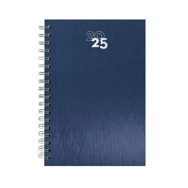 Immagine AGENDA ANELLI METALLIZZATI NICK