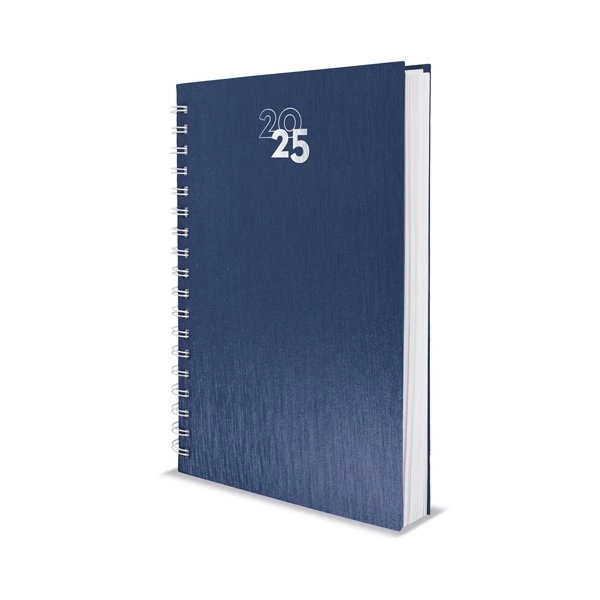 Immagine AGENDA ANELLI METALLIZZATI NICK