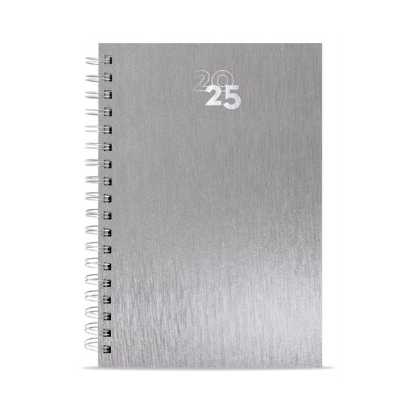 Immagine AGENDA ANELLI METALLIZZATI NICK