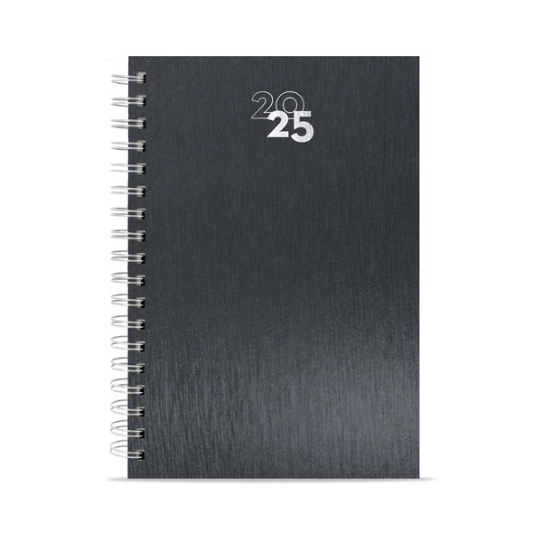 Immagine AGENDA ANELLI METALLIZZATI NICK