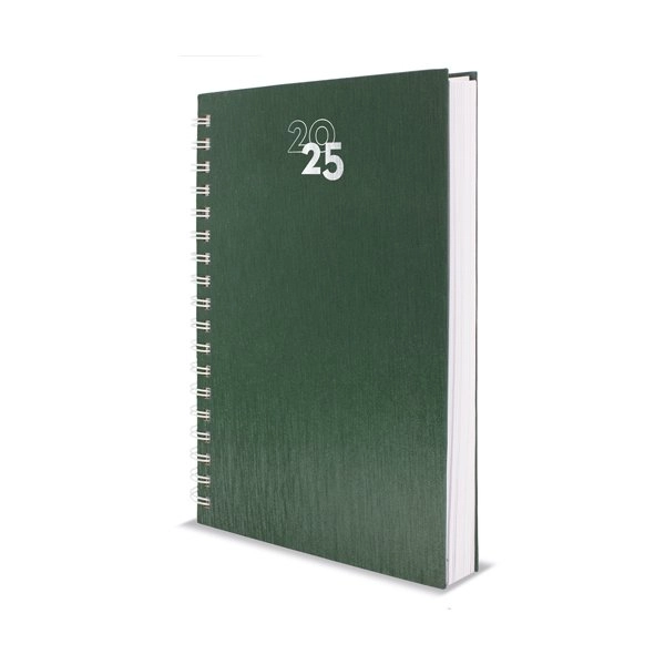Immagine AGENDA ANELLI METALLIZZATI NICK