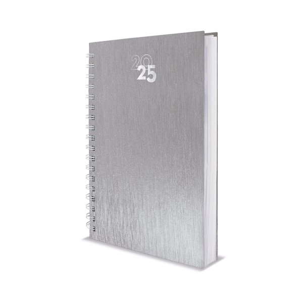 Immagine AGENDA ANELLI METALLIZZATI NICK