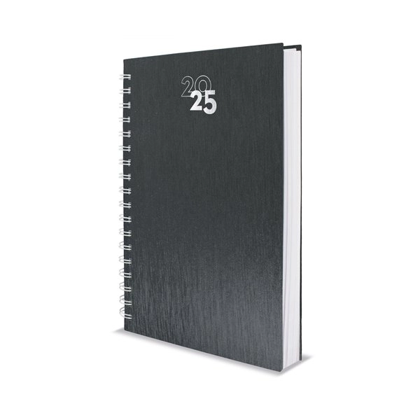 Immagine AGENDA ANELLI METALLIZZATI NICK