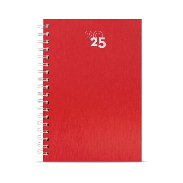 AGENDA ANELLI METALLIZZATI NICK