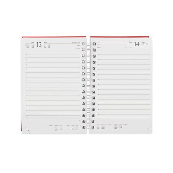 Immagine AGENDA ANELLI METALLIZZATI NICK