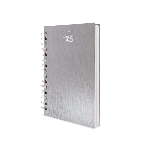 Immagine AGENDA ANELLI METALLIZZATI RAKI