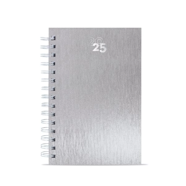 Immagine AGENDA ANELLI METALLIZZATI RAKI