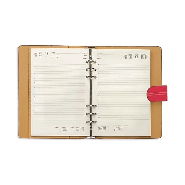 Immagine AGENDA GIORNALIERA 