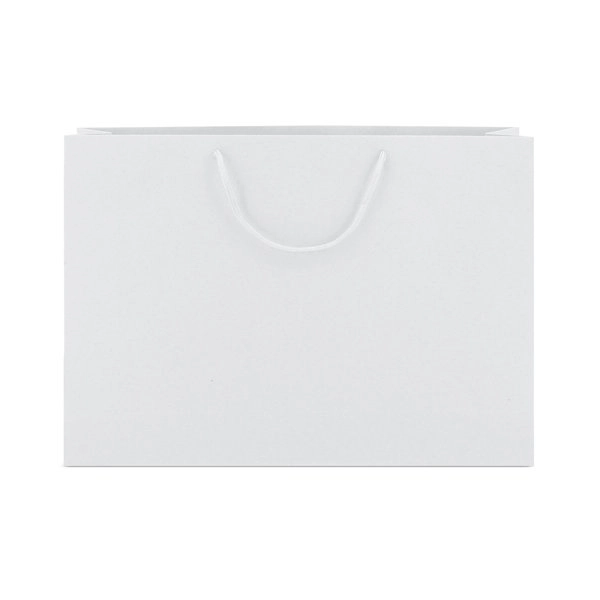 Immagine BORSA DI CARTONE MANICI LOOPSE 