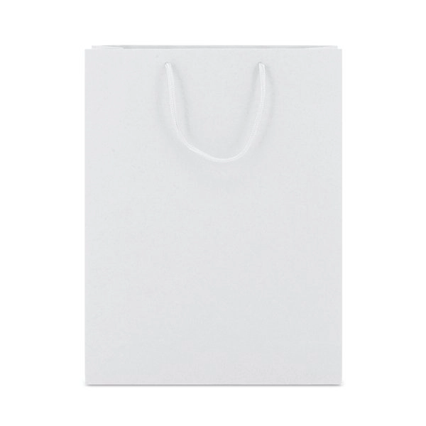 Immagine BORSA DI CARTONE MANICI LOOPSE 