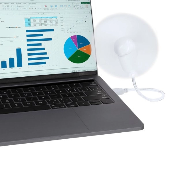 Immagine Ventilatore Winsord