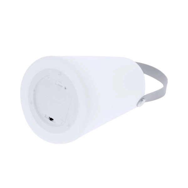 Immagine Lampada Tuxfan