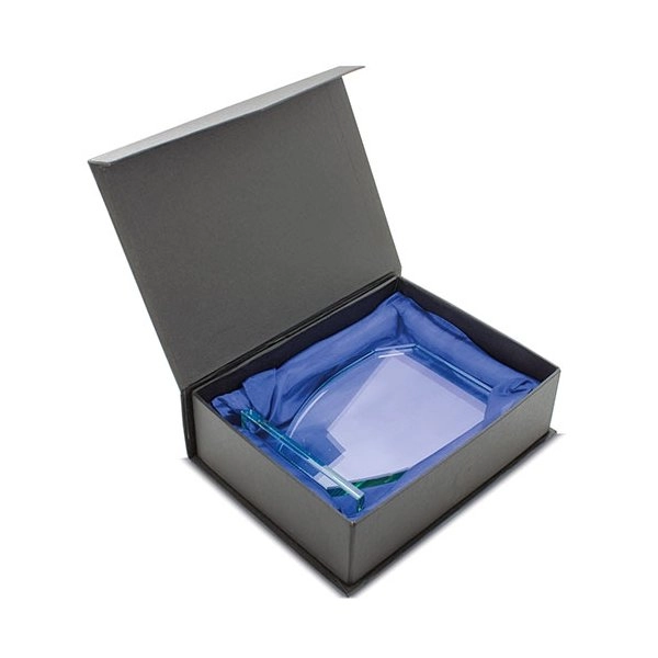 Immagine TROFEO CON SUPPORTO 