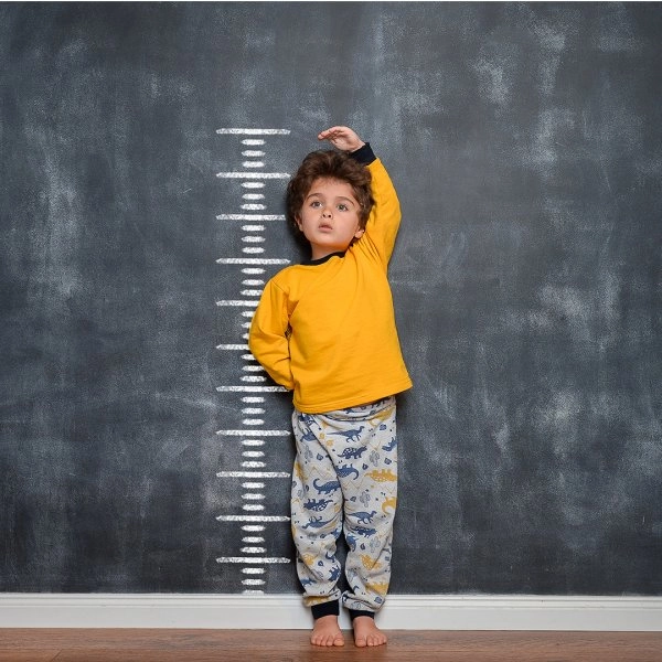 Immagine Misuratore Pesek