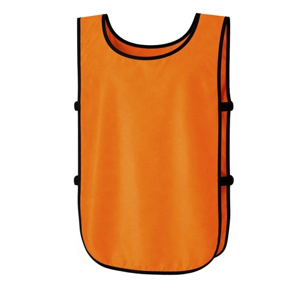 Immagine Gilet Stegan