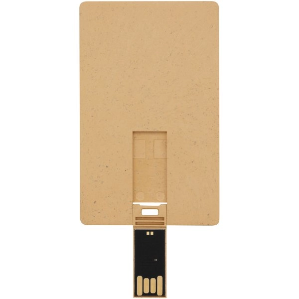 Immagine USB carta di credito con scocca biodegradabile