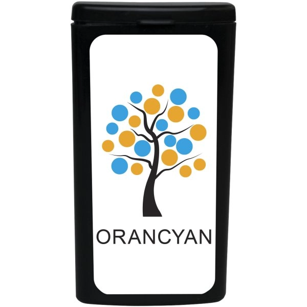 Immagine MiniKit Set Festival