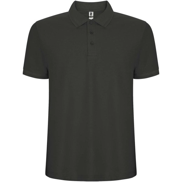 Immagine Polo da uomo a maniche corte Pegaso Premium