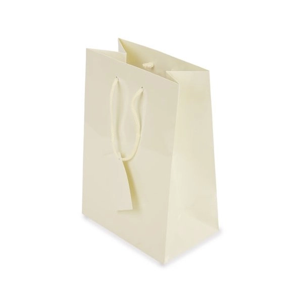BORSA REGALO PLASTIFICATA 