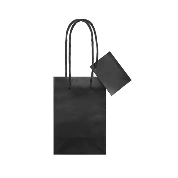 Immagine BORSA REGALO PLASTIFICATA 