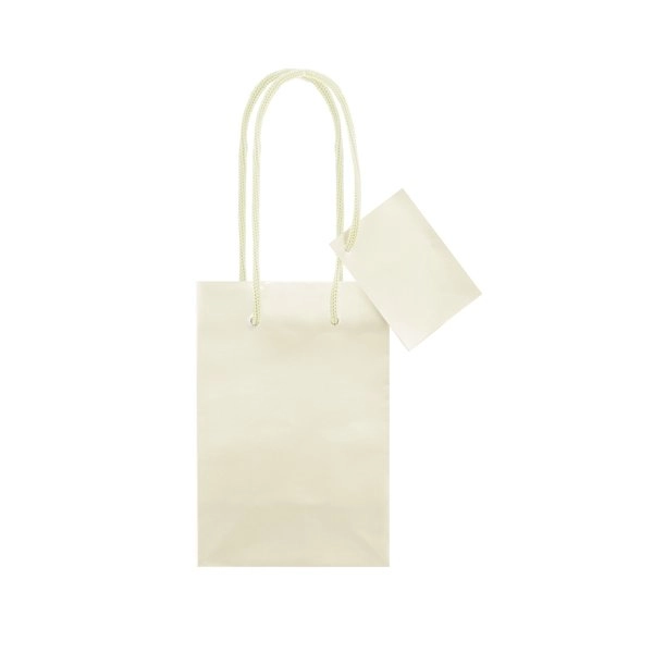Immagine BORSA REGALO PLASTIFICATA 